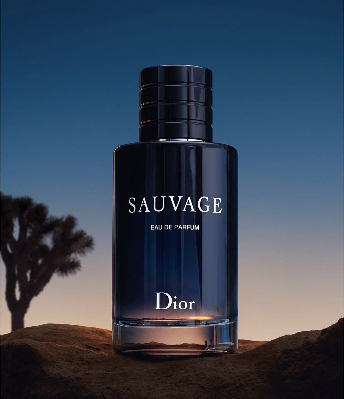 🐺 Perfume Sauvage – Dior + Envio Gratis