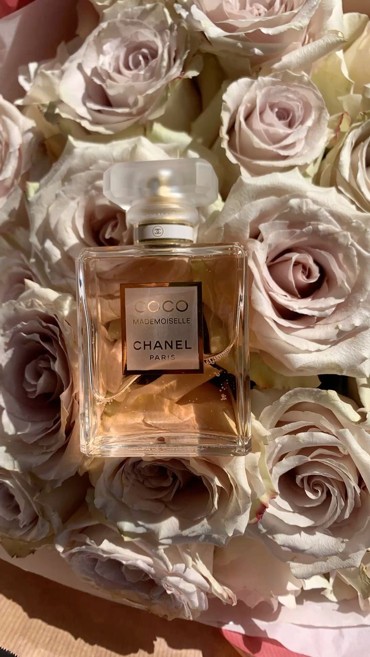 Perfume Coco Mademoiselle Chanel + Envio Gratis