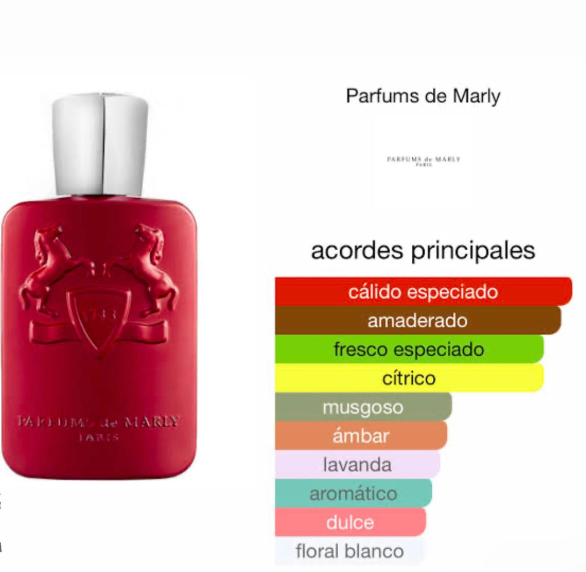 🌟✨ Marly Kalan + Envio Gratis